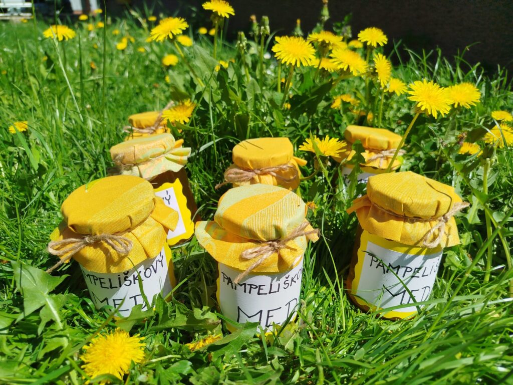 47b58e64-849e-4fb6-9103-42732d081f6b