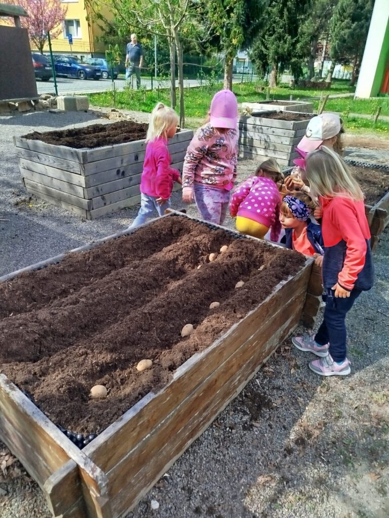 5395baed-face-4d78-829d-e853378d21c7