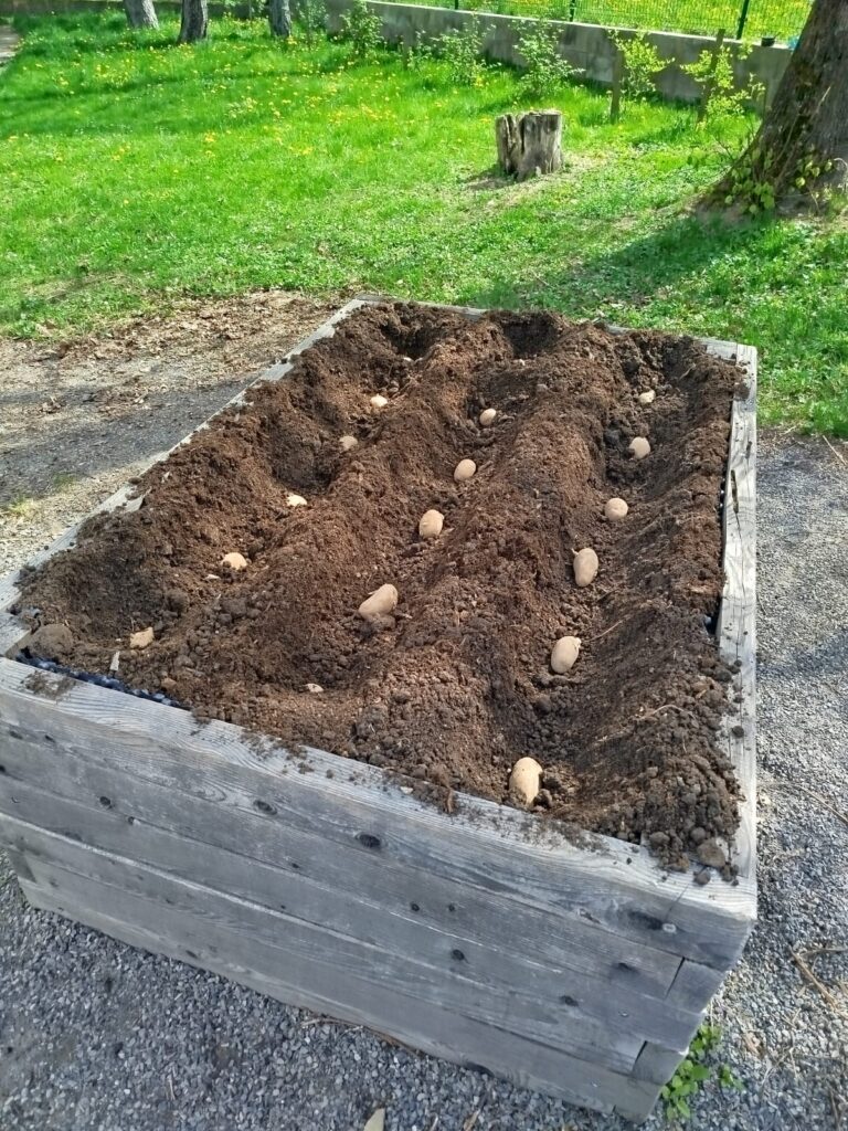 5eedac89-d805-463b-834f-16b65a8a2a9a